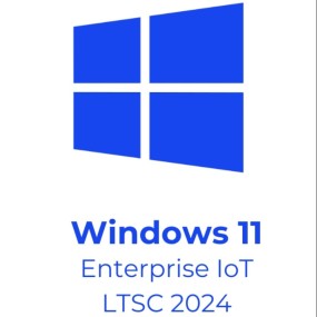 Windows 11 Enterprise IoT LTSC 2024