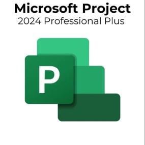 Project 2024 Professional
