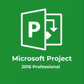 Project 2016 Professional